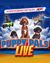 poster for event